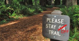 If your kids stay on the trail, are they really in nature?